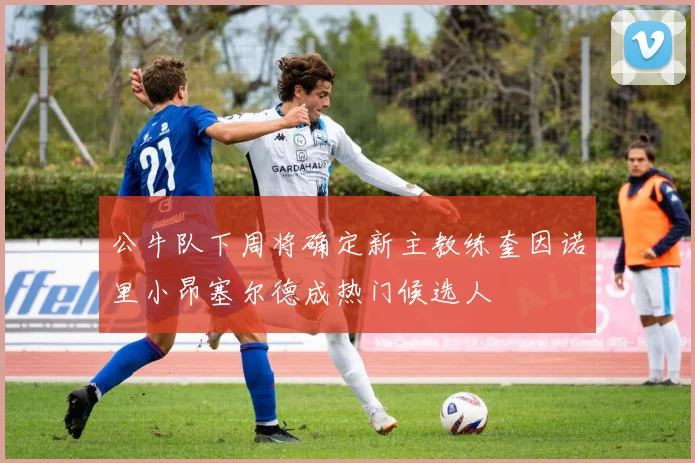 公牛队下周将确定新主教练奎因诺里小昂塞尔德成热门候选人